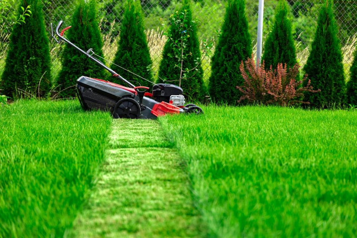 Residential & Commercial Mowing Service