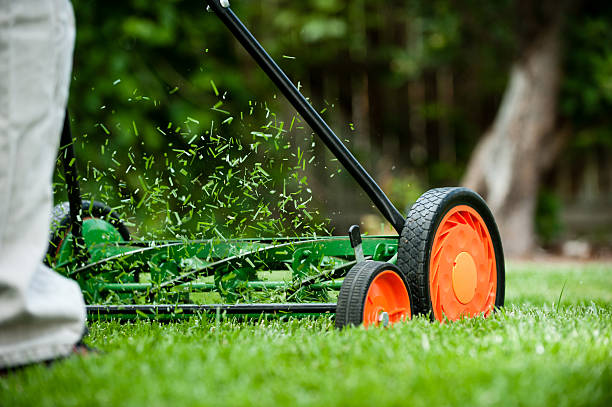 Lawn Mowing Service