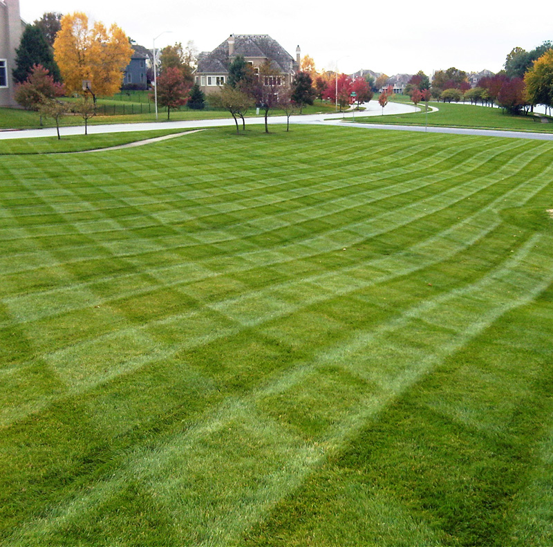 Lawn Aeration 