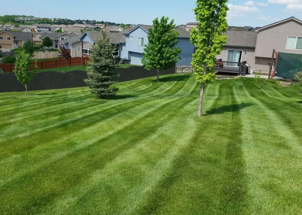 Best Landscaper Near You